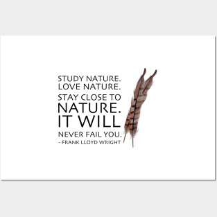 Nature. Posters and Art